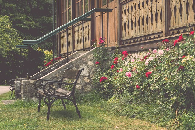 林葳终身无缘国家队的概率很大29亮78回复.