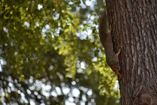 勇士148-106马刺，反超升第六，三大利好再临.