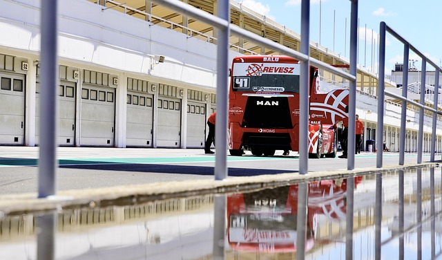 赛的结果 赛的结果