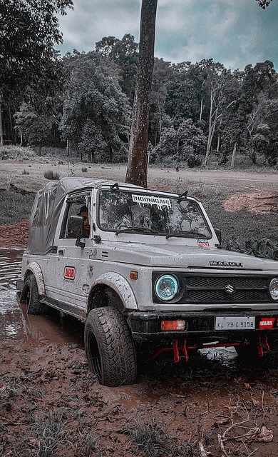 应变能力 应变能力