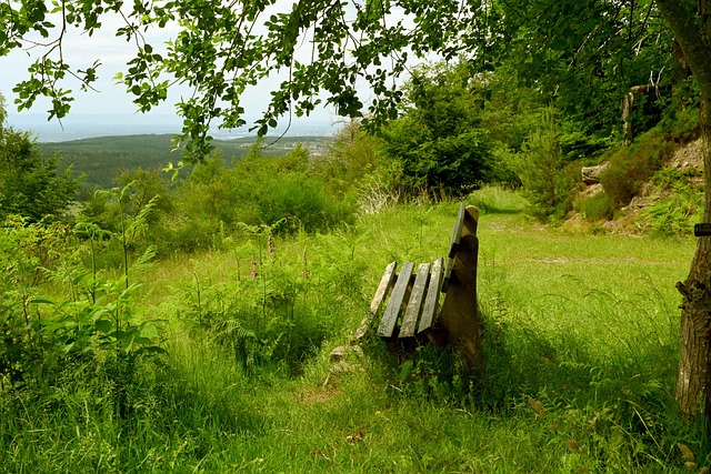 以捍衛自身 以捍衛自身